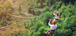 Zip Line Activity