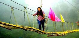 Suspension Bridge Activity